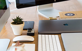 猫咪身上有细菌吗，猫身上有虫子怎么办？