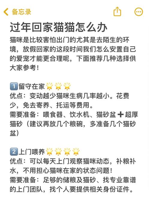 过年猫咪怎么办,过年期间猫怎么办-第3张图片-后鲨宠物 过年猫咪怎么办,过年期间猫怎么办-第3张图片-后鲨宠物