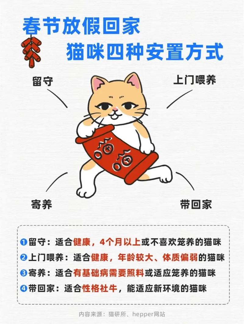 过年猫咪怎么办,过年期间猫怎么办-第4张图片-后鲨宠物 过年猫咪怎么办,过年期间猫怎么办-第4张图片-后鲨宠物