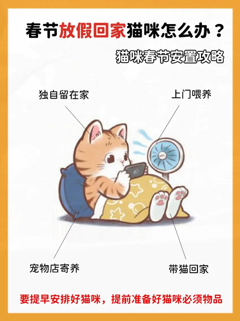 过年猫咪怎么办,过年期间猫怎么办-第5张图片-后鲨宠物 过年猫咪怎么办,过年期间猫怎么办-第5张图片-后鲨宠物