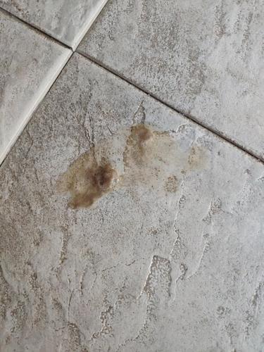 猫咪绝育后不吃不喝,猫咪绝育后不吃不喝还呕吐-第5张图片-后鲨宠物 猫咪绝育后不吃不喝,猫咪绝育后不吃不喝还呕吐-第5张图片-后鲨宠物