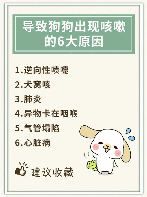  狗狗不停的咳嗽怎么办，狗狗不停的咳嗽怎么办-第1张图片-后鲨宠物