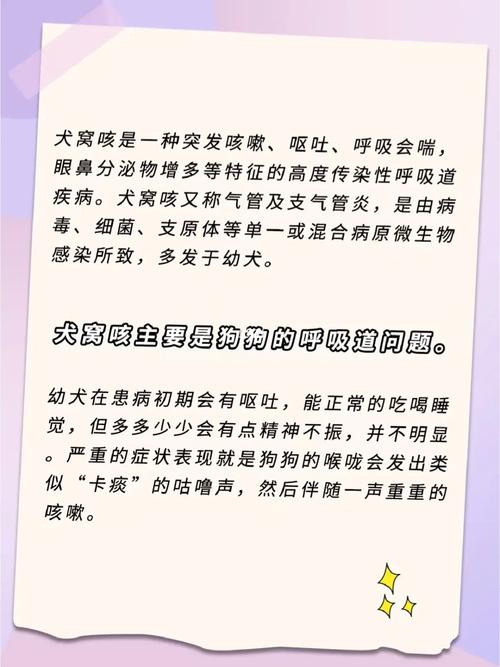  狗狗不停的咳嗽怎么办，狗狗不停的咳嗽怎么办-第5张图片-后鲨宠物
