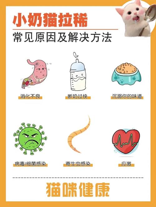 猫咪老拉稀怎么办_猫咪总是拉肚-第2张图片-后鲨宠物