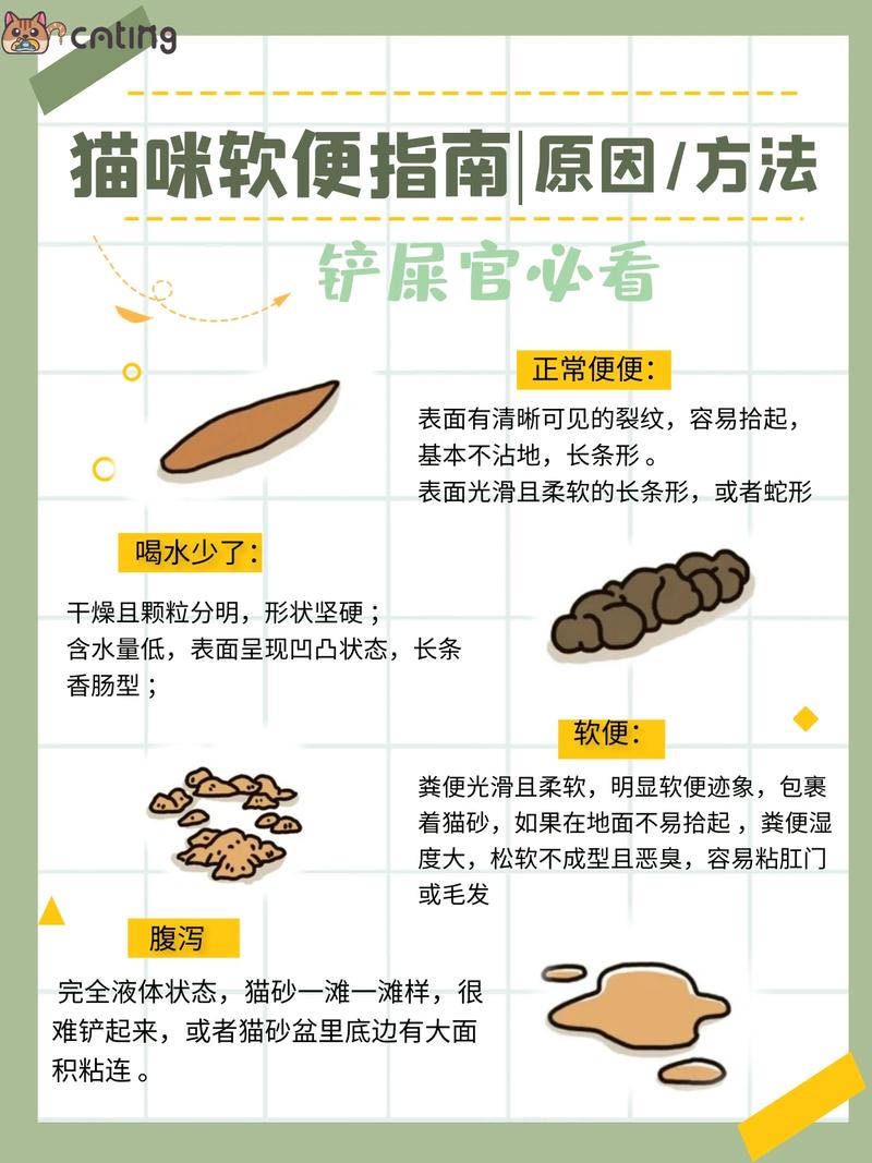 猫咪老拉稀怎么办_猫咪总是拉肚-第4张图片-后鲨宠物