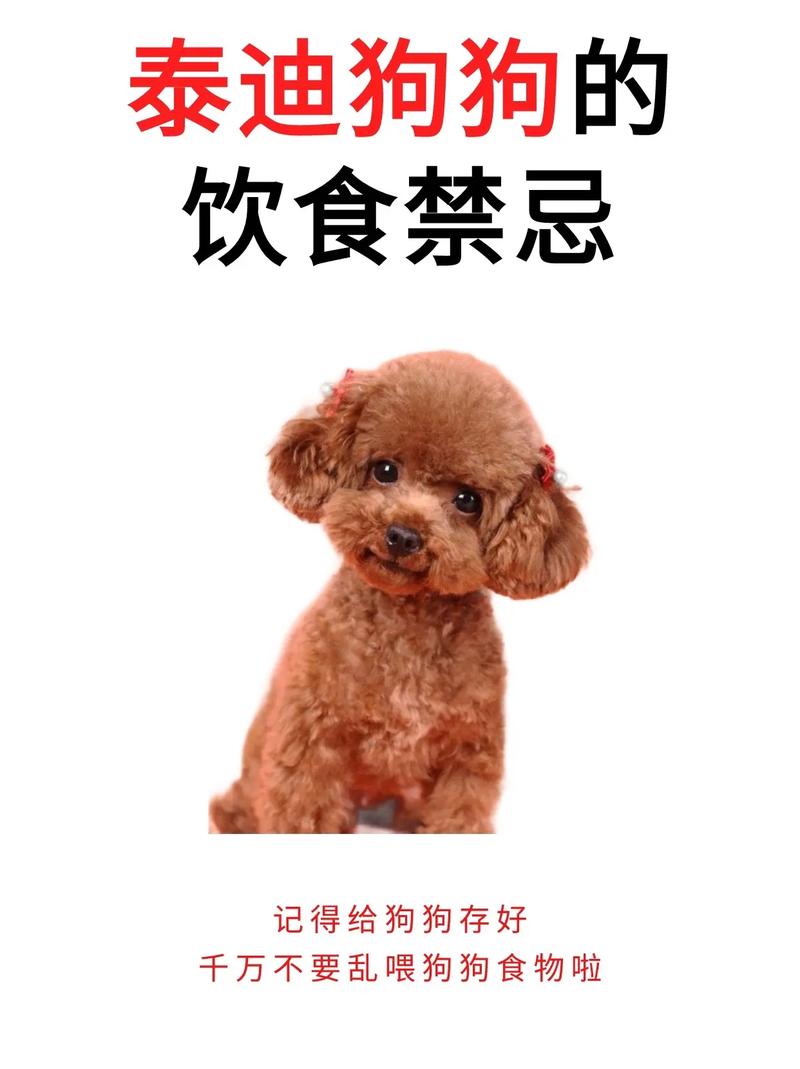 狗狗能吃生菜吗,狗狗吃生菜吗??-第4张图片-后鲨宠物 狗狗能吃生菜吗,狗狗吃生菜吗??-第4张图片-后鲨宠物