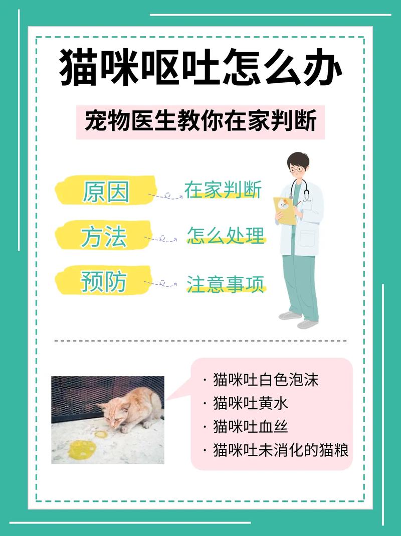 猫猫为什么会吐,猫猫为什么会吐毛球-第2张图片-后鲨宠物 猫猫为什么会吐,猫猫为什么会吐毛球-第2张图片-后鲨宠物