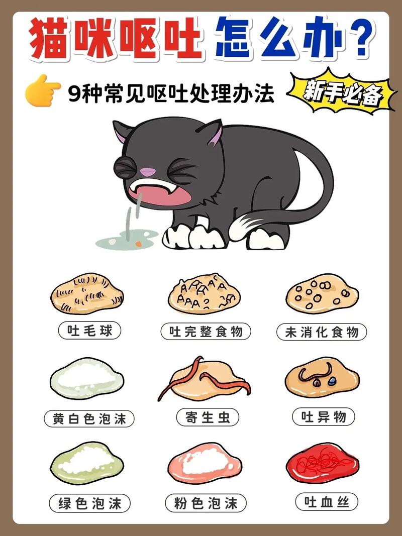 猫猫为什么会吐,猫猫为什么会吐毛球-第5张图片-后鲨宠物 猫猫为什么会吐,猫猫为什么会吐毛球-第5张图片-后鲨宠物
