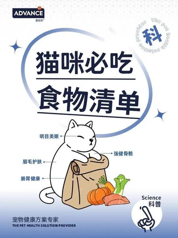  怎么给猫咪补钙，怎么给猫咪补钙效果比较好