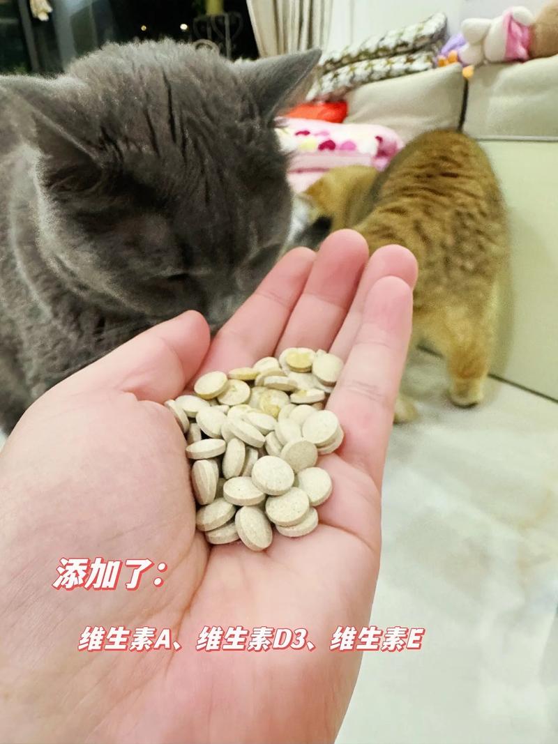 怎么给猫咪补钙,怎么给猫咪补钙效果比较好-第3张图片-后鲨宠物 怎么给猫咪补钙,怎么给猫咪补钙效果比较好-第3张图片-后鲨宠物
