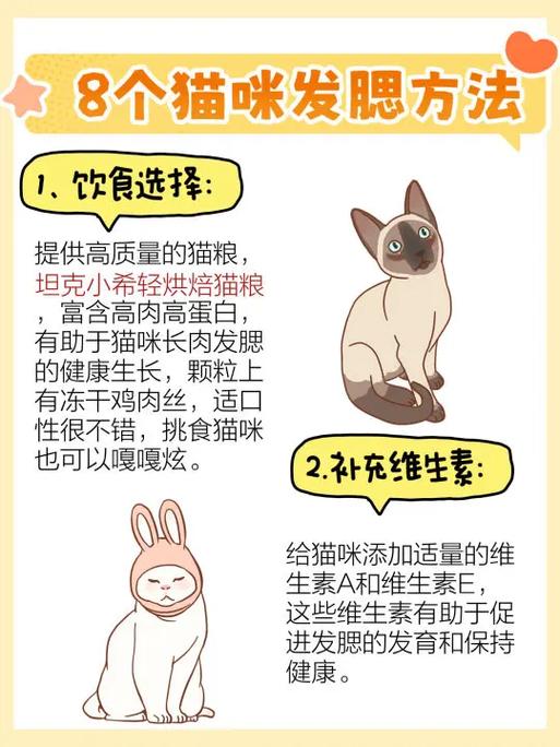  猫咪发腮期是什么时候，猫猫发腮期
