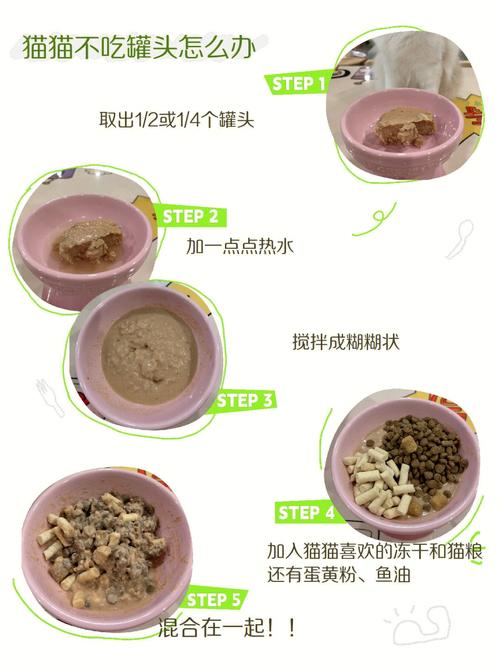  猫咪不吃罐头怎么办，猫咪不吃罐头营养跟得上吗