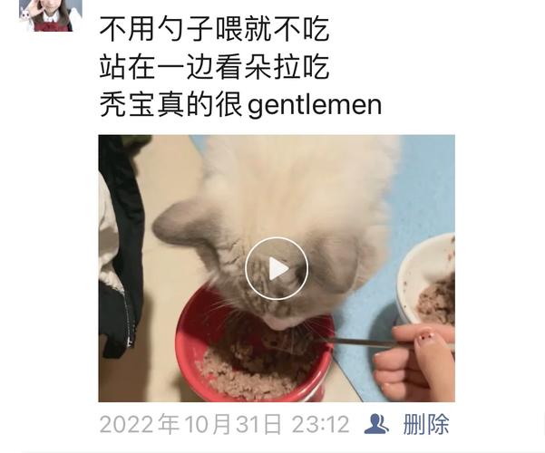 猫咪不吃罐头怎么办,猫咪不吃罐头营养跟得上吗-第2张图片-后鲨宠物 猫咪不吃罐头怎么办,猫咪不吃罐头营养跟得上吗-第2张图片-后鲨宠物