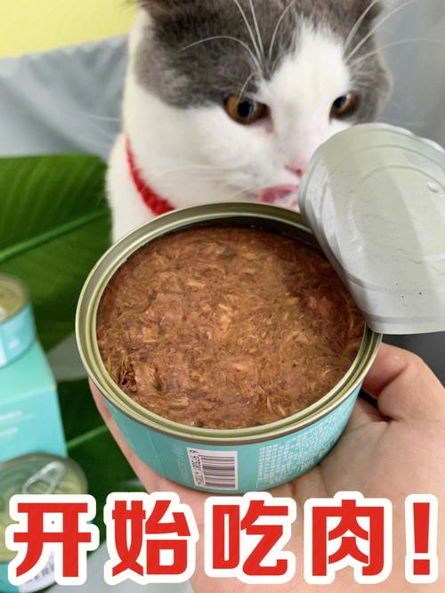 猫咪不吃罐头怎么办,猫咪不吃罐头营养跟得上吗-第4张图片-后鲨宠物 猫咪不吃罐头怎么办,猫咪不吃罐头营养跟得上吗-第4张图片-后鲨宠物