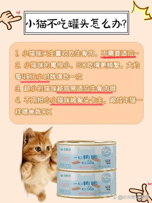 猫咪不吃罐头怎么办,猫咪不吃罐头营养跟得上吗-第5张图片-后鲨宠物 猫咪不吃罐头怎么办,猫咪不吃罐头营养跟得上吗-第5张图片-后鲨宠物
