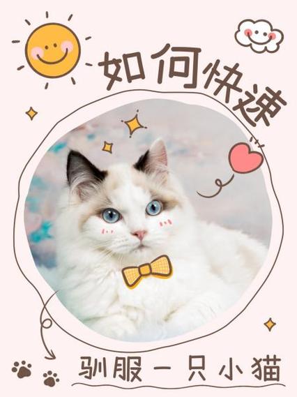 如何让猫咪听话,如何让猫咪听话不咬人?-第3张图片-后鲨宠物 如何让猫咪听话,如何让猫咪听话不咬人?-第3张图片-后鲨宠物