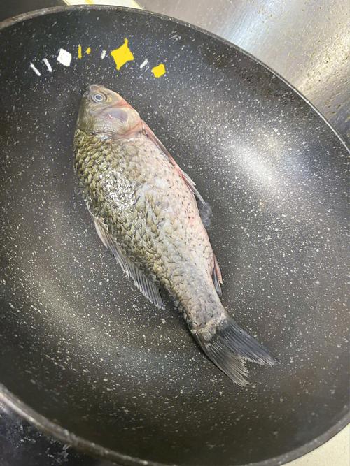  猫咪坐月子吃什么，猫咪坐月子吃什么下奶-第2张图片-后鲨宠物