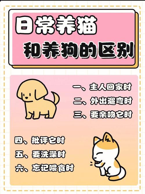 猫咪和狗狗可以养在一起吗,猫猫和狗可以一起养吗?-第5张图片-后鲨宠物 猫咪和狗狗可以养在一起吗,猫猫和狗可以一起养吗?-第5张图片-后鲨宠物