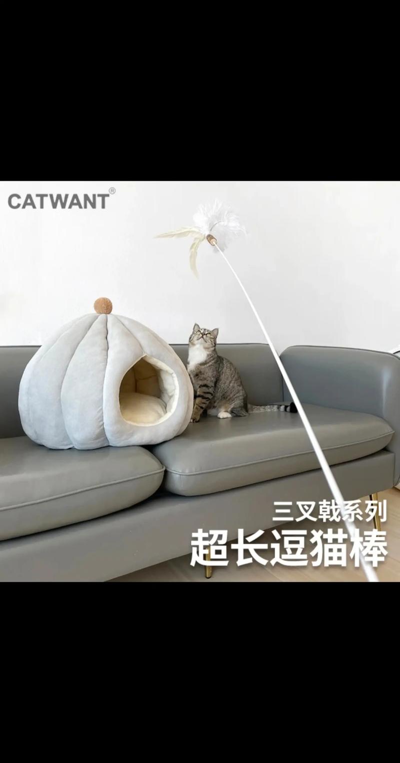  猫咪为什么喜欢逗猫棒，猫为啥那么喜欢逗猫棒