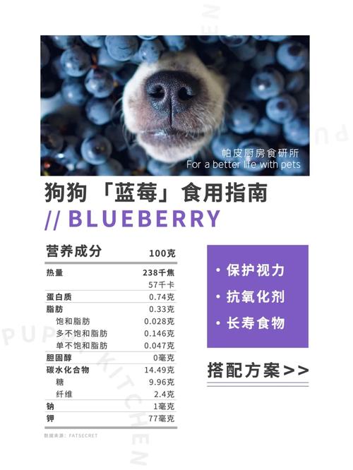 狗狗可以吃蓝莓吗_狗狗能吃的前十水果-第5张图片-后鲨宠物