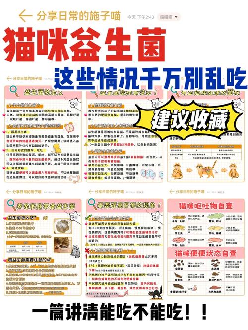 猫咪益生菌怎么吃_猫咪益生菌怎么吃效果好