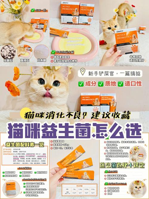 猫咪益生菌怎么吃_猫咪益生菌怎么吃效果好-第4张图片-后鲨宠物 猫咪益生菌怎么吃_猫咪益生菌怎么吃效果好-第4张图片-后鲨宠物