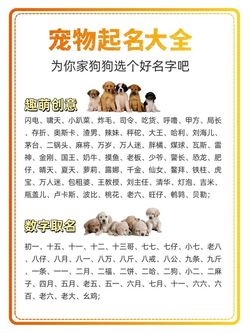 好听的狗狗名字大全，好听的狗狗名字大全_网页搜索？-第4张图片-后鲨宠物