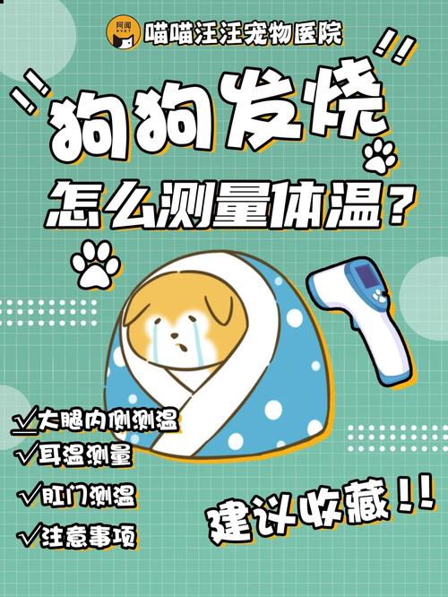 狗狗发烧怎么物理降温_狗狗发高烧怎么办