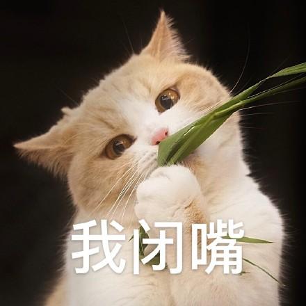 怎样让猫咪不叫，咋样让猫咪不叫？