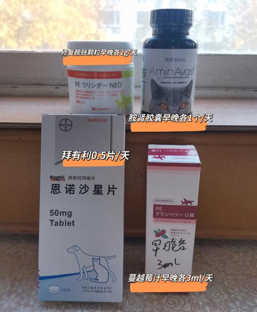 猫咪尿道炎吃什么药,猫咪尿路感染吃什么药最快?-第3张图片-后鲨宠物 猫咪尿道炎吃什么药,猫咪尿路感染吃什么药最快?-第3张图片-后鲨宠物