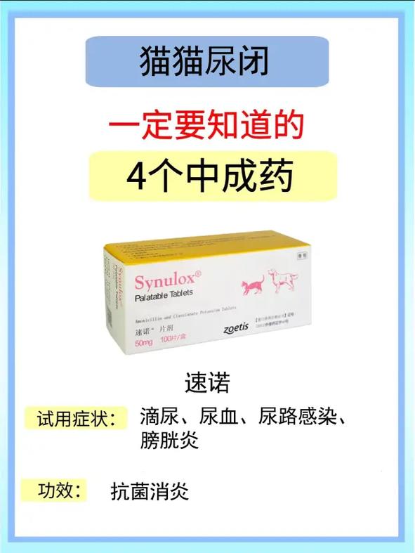 猫咪尿道炎吃什么药,猫咪尿路感染吃什么药最快?-第4张图片-后鲨宠物 猫咪尿道炎吃什么药,猫咪尿路感染吃什么药最快?-第4张图片-后鲨宠物
