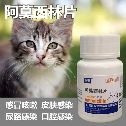 猫咪尿道炎吃什么药,猫咪尿路感染吃什么药最快?-第5张图片-后鲨宠物 猫咪尿道炎吃什么药,猫咪尿路感染吃什么药最快?-第5张图片-后鲨宠物