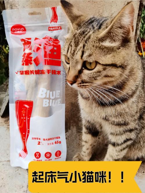 猫咪可以吃鱼肝油吗_猫咪可以吃鱼肝油吗