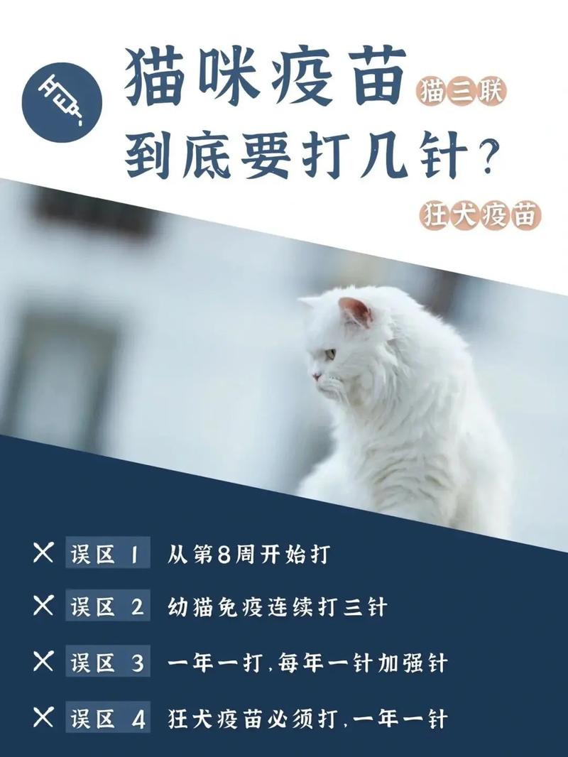  猫猫多久打一次疫苗，猫猫多久打一次疫苗合适-第5张图片-后鲨宠物