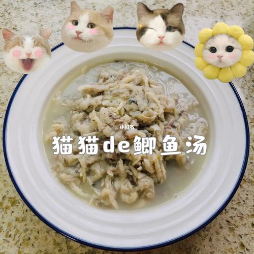 猫咪鱼汤怎么做，猫咪鱼汤怎么做好吃？-第4张图片-后鲨宠物
