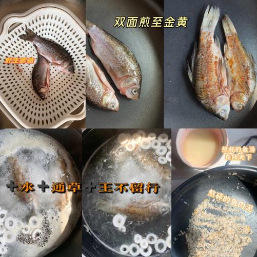 猫咪鱼汤怎么做，猫咪鱼汤怎么做好吃？-第5张图片-后鲨宠物