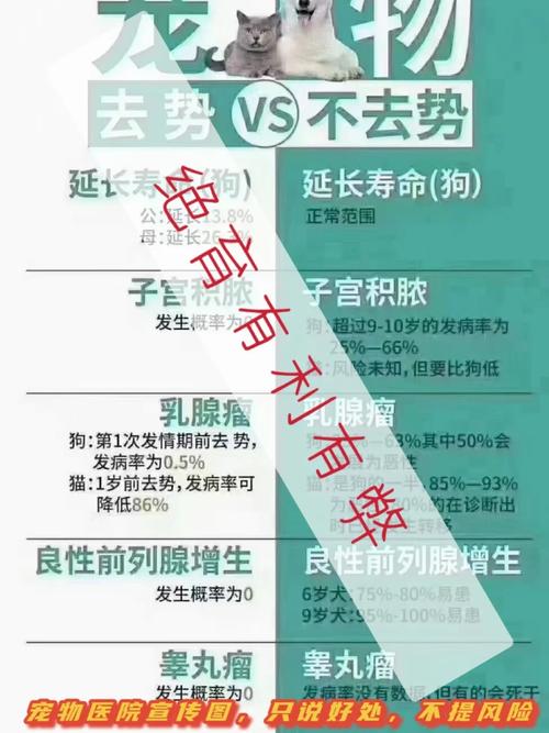 狗狗绝育的好处与坏处,母狗绝育还是不绝育好呢?-第2张图片-后鲨宠物 狗狗绝育的好处与坏处,母狗绝育还是不绝育好呢?-第2张图片-后鲨宠物
