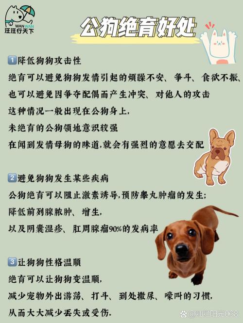 狗狗绝育的好处与坏处,母狗绝育还是不绝育好呢?-第3张图片-后鲨宠物 狗狗绝育的好处与坏处,母狗绝育还是不绝育好呢?-第3张图片-后鲨宠物