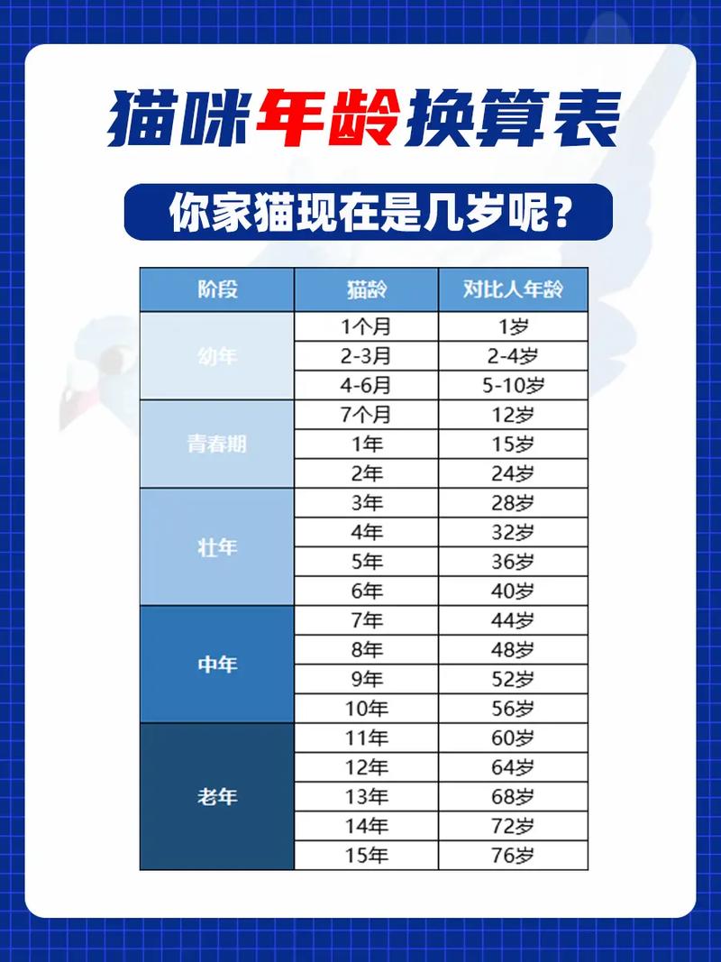 猫猫几个月成年_猫几个月开始成年-第3张图片-后鲨宠物 猫猫几个月成年_猫几个月开始成年-第3张图片-后鲨宠物