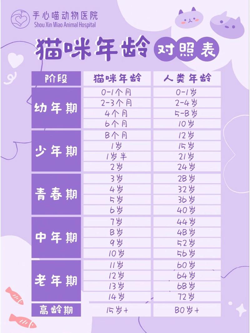 猫猫几个月成年_猫几个月开始成年-第4张图片-后鲨宠物 猫猫几个月成年_猫几个月开始成年-第4张图片-后鲨宠物