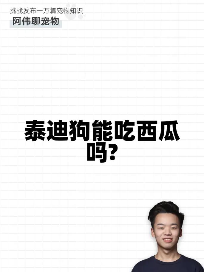 泰迪狗狗能吃西瓜吗,泰迪小狗能吃西瓜吗-第3张图片-后鲨宠物 泰迪狗狗能吃西瓜吗,泰迪小狗能吃西瓜吗-第3张图片-后鲨宠物