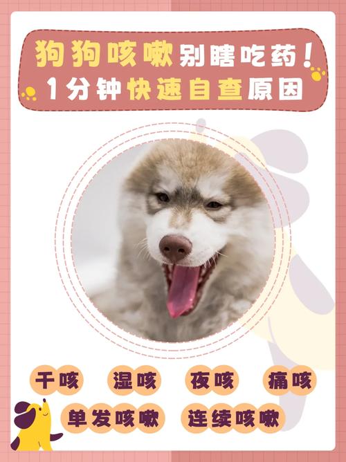  狗狗咳嗽是什么原因造成的，狗狗咳嗽是什么原因造成的怎么办