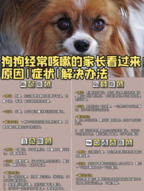  狗狗咳嗽是什么原因造成的，狗狗咳嗽是什么原因造成的怎么办-第4张图片-后鲨宠物