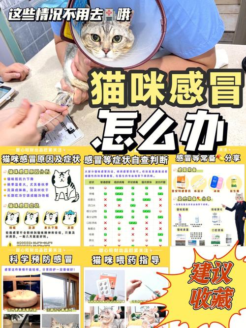  猫咪感冒会自愈吗，猫咪感冒会自愈吗会传染吗-第2张图片-后鲨宠物