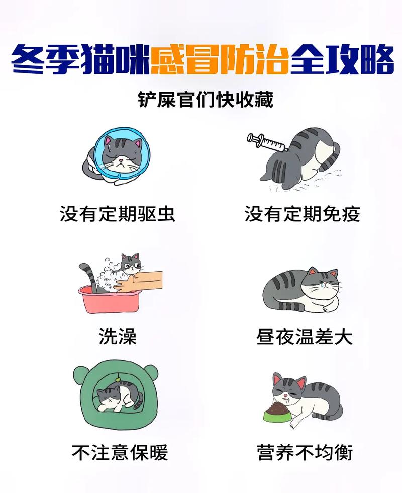  猫咪感冒会自愈吗，猫咪感冒会自愈吗会传染吗-第3张图片-后鲨宠物