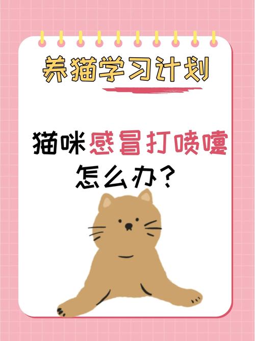  猫咪感冒会自愈吗，猫咪感冒会自愈吗会传染吗-第4张图片-后鲨宠物