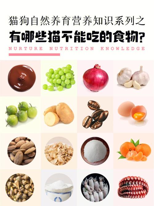 猫咪能吃栗子吗,猫可以吃栗子吗??-第5张图片-后鲨宠物 猫咪能吃栗子吗,猫可以吃栗子吗??-第5张图片-后鲨宠物