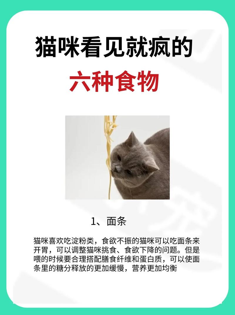 猫咪一般吃什么，农村猫咪一般吃什么？-第5张图片-后鲨宠物