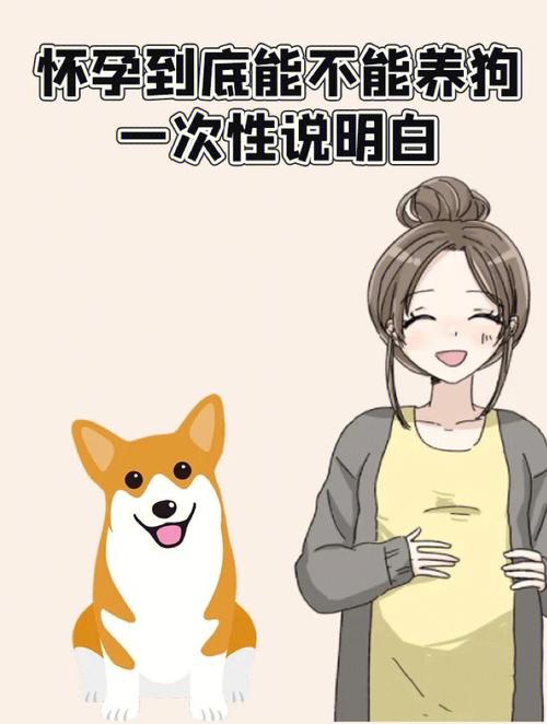 狗狗对孕妇有什么影响,狗狗对孕妇有什么影响吗?-第2张图片-后鲨宠物 狗狗对孕妇有什么影响,狗狗对孕妇有什么影响吗?-第2张图片-后鲨宠物