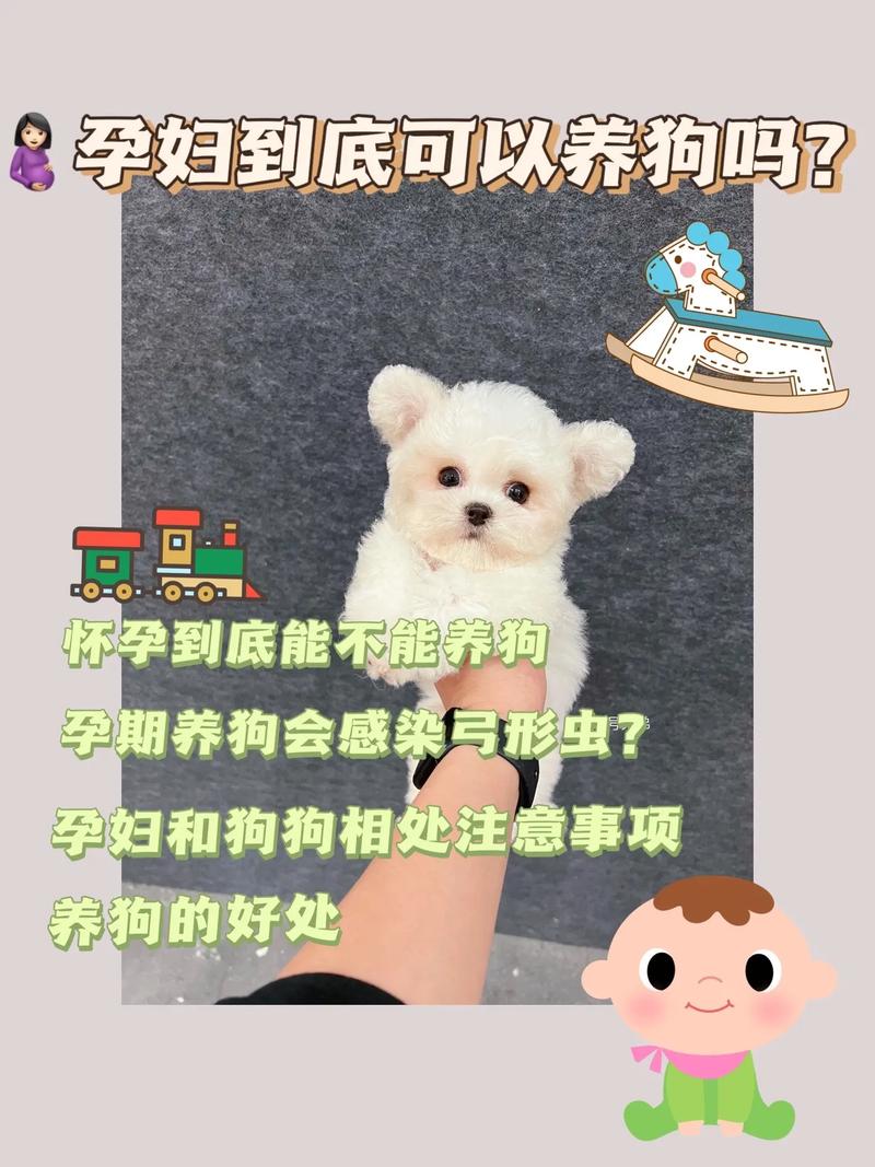 狗狗对孕妇有什么影响,狗狗对孕妇有什么影响吗?-第6张图片-后鲨宠物 狗狗对孕妇有什么影响,狗狗对孕妇有什么影响吗?-第6张图片-后鲨宠物